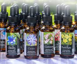 Flower Essence Consultation